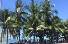 隔离也有不同!各类人士入泰隔离方式细节公开