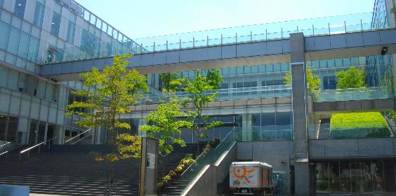 流通经济大学留学，这些专业要“吃香”了！