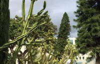 什么样的人才有资格上嘎劳德特大学
