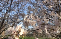 美国高级技师学院学费一年预估需要多少