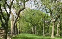 森林湖学院本科学费、生活费大概多少？