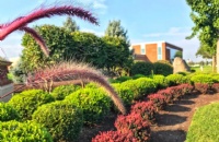 怎么报考萨乌瑞吉纳大学本科？要满足什么条件？