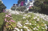 阿肯色东北学院学费一年预估需要多少