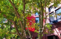 宾州加利福尼亚大学硕士申请难度大吗？