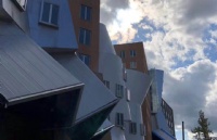如何才能申请上纳瓦罗学院？
