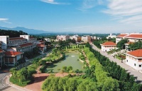 崇实大学特色专业