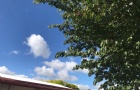 2˶ʿأ