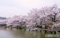 日本搭建智能app的语言学校：东京COSMO学园