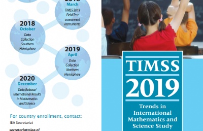 TIMSS¯¼Сѧȹ