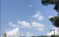韩国留学签证资料