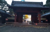 韩国留学的好处有哪些