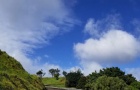 ŷ18ְҵϢгЩ