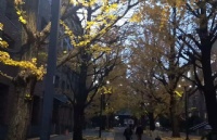 东京外国语大学录取来了！恭喜B同学圆梦日本名校！