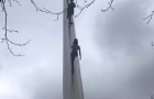 ڲʿѧԺѧϰѧɼ꣬νгɼߣ