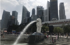 想留学新加坡的“公立高中”，得这样做~