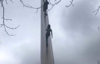 密苏里大学本科申请难度大吗？