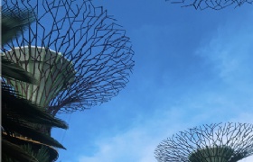 ¼ѧʽ֤ΰ