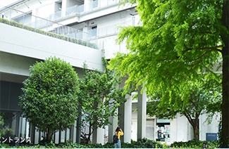 静冈文化艺术大学