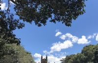 我来邦德大学留学，结果全班都是中国人？