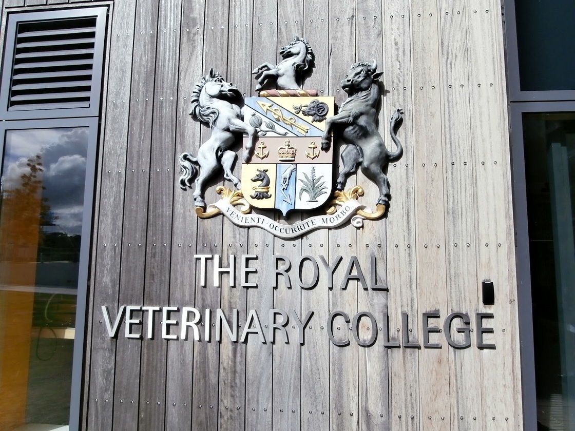 英国皇家兽医学院本科如何申请 英国皇家兽医学院本科如何申请
