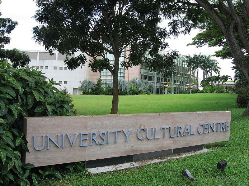 新加坡留学陪读条件,新加坡国立大学