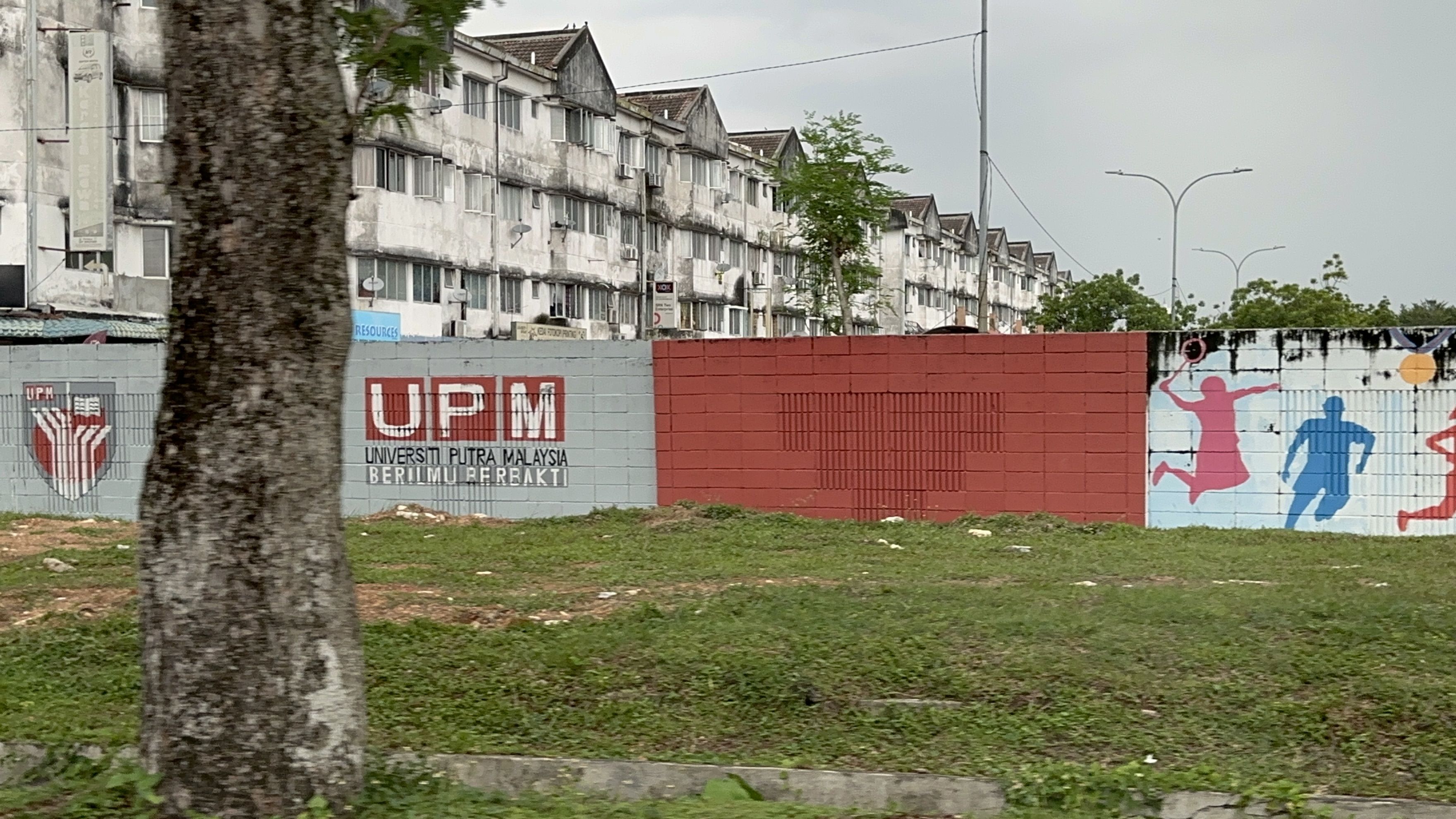 ǲѧ